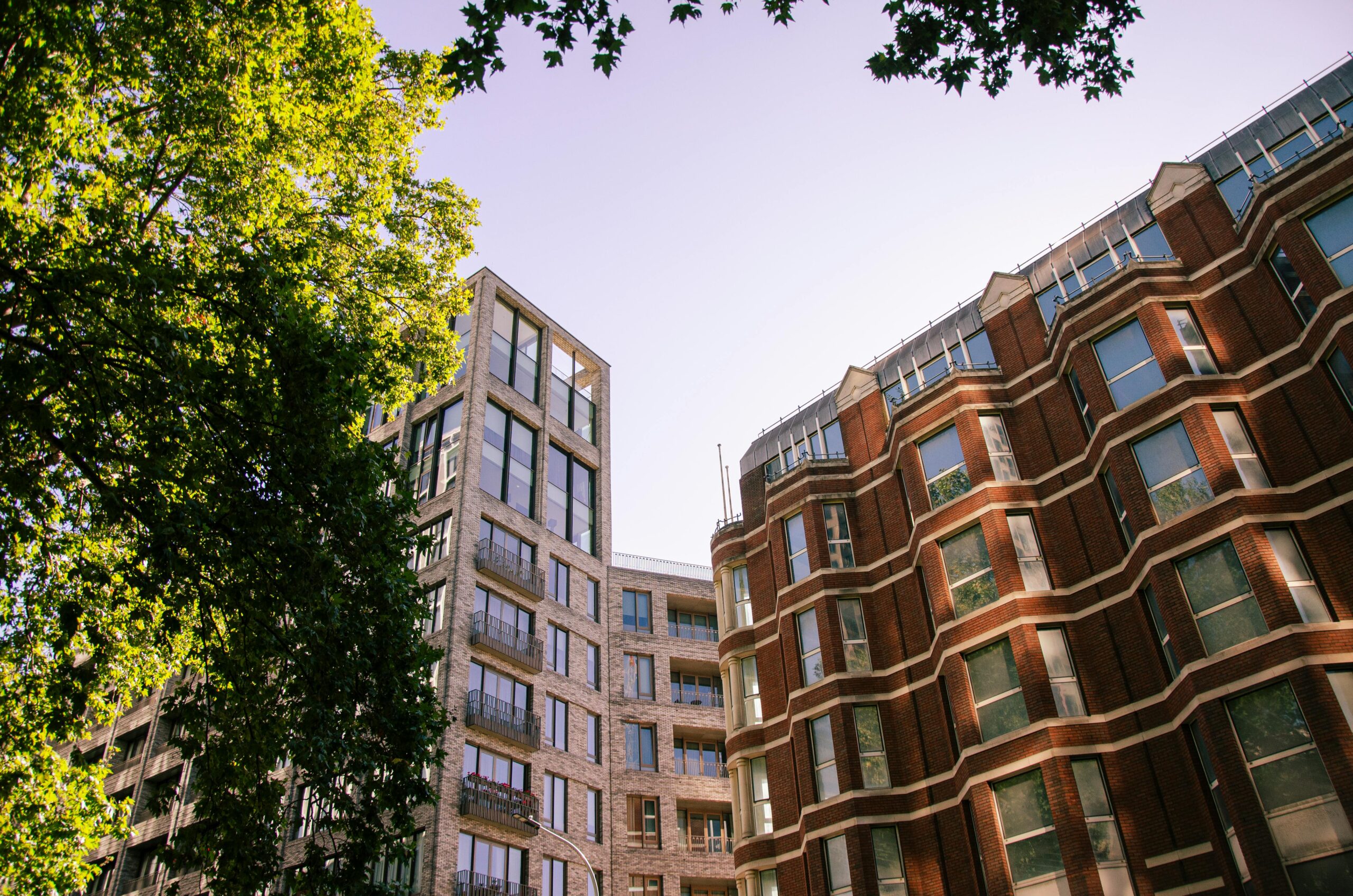 pexels-piotrek-wilk-643479-28700676 (1)